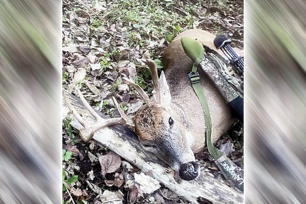 Success! Now, what to do with that deer? – Outdoor News