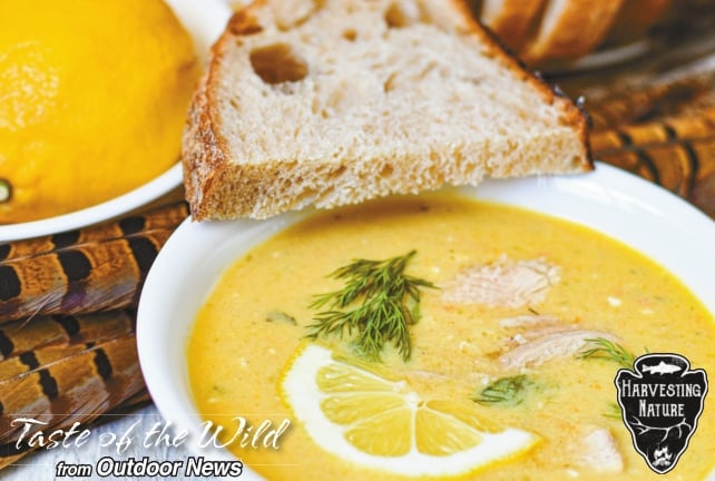 Taste of the Wild: Avgolemono Pheasant Soup – Outdoor News