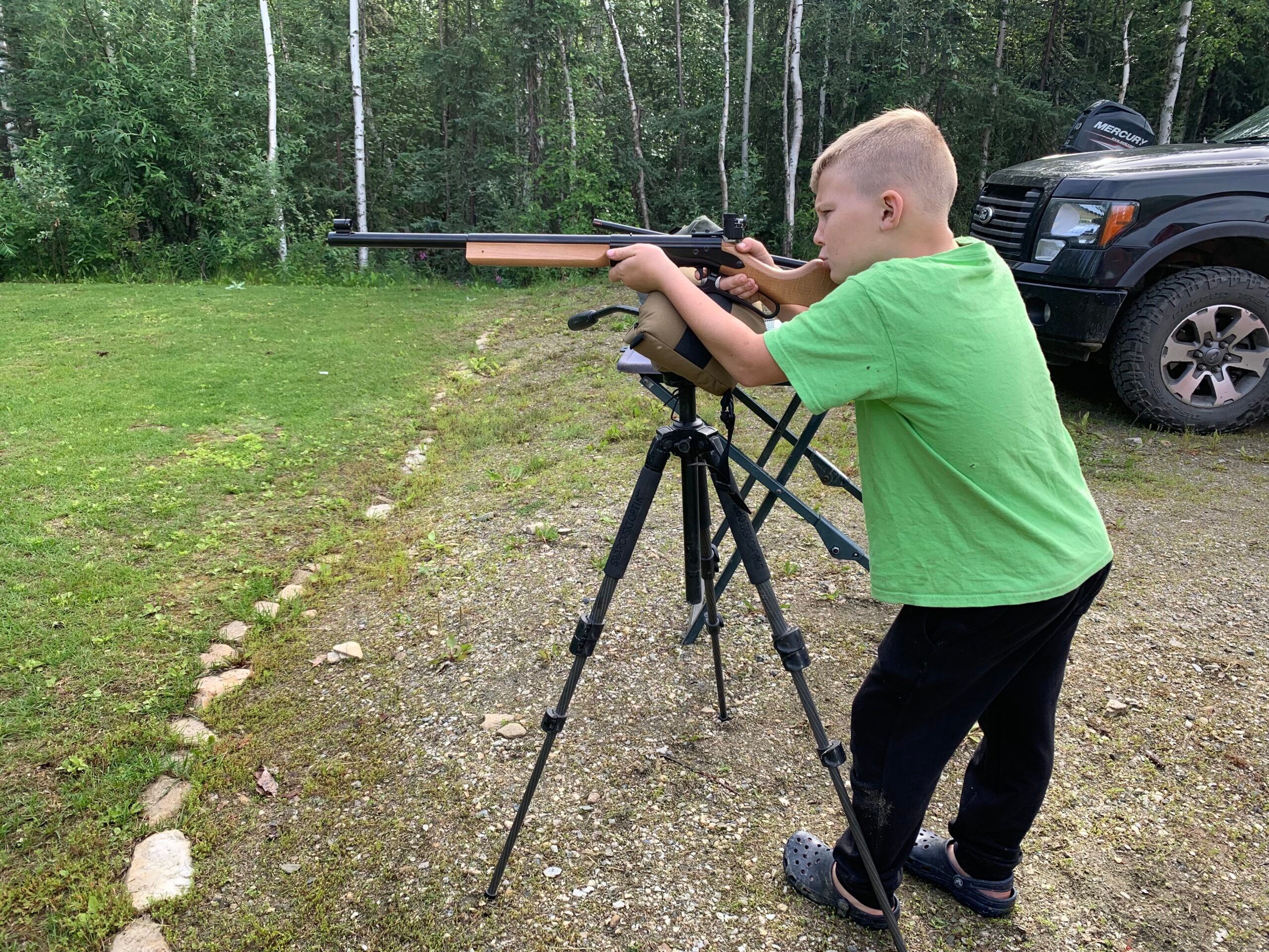 bb gun with iron sights