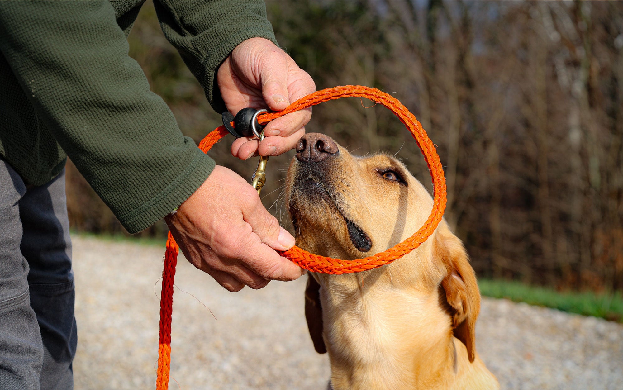 The Dokken Pro6 is a perfect system for us: the lead looks like a regular leash but it provides additional control and opportunities for corrections when needed.