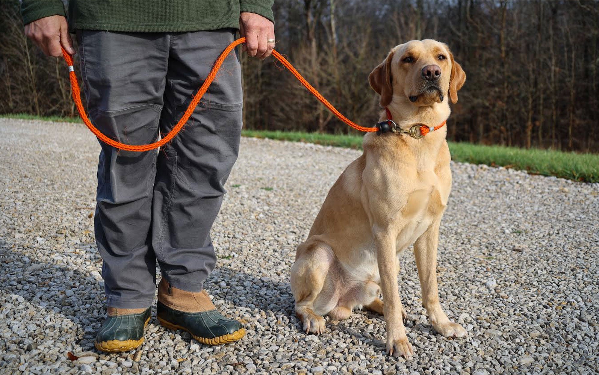 Even the best dog training collars can’t help if you don’t follow through on your training.