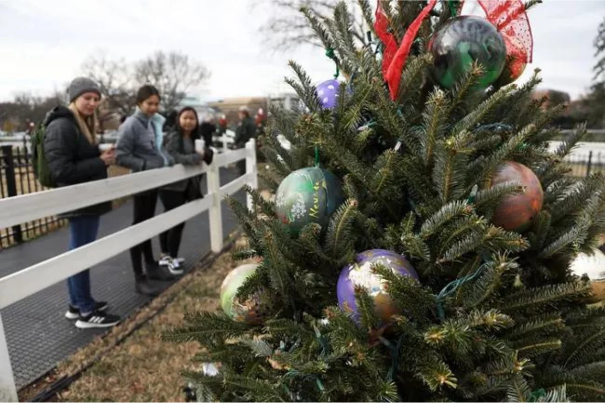 Christmas tree visit in dc