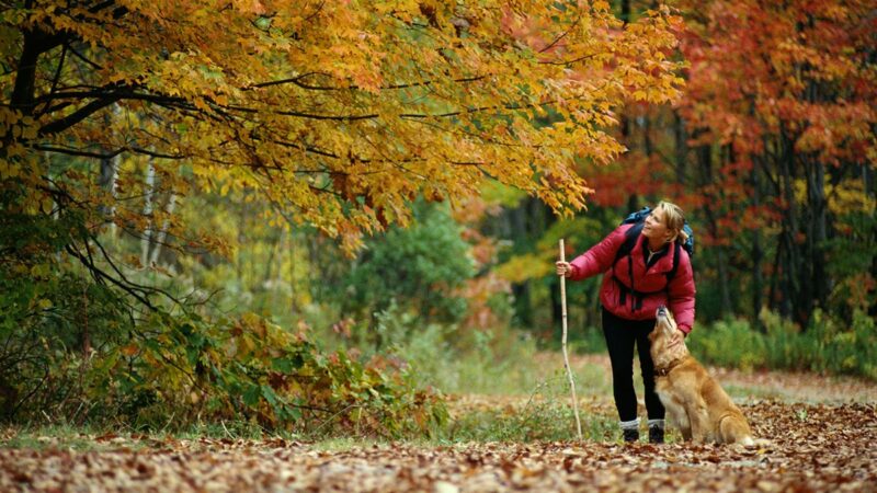 Top Tips for Fall and Winter Hiking, Plus Essentials for Your Pack and More 