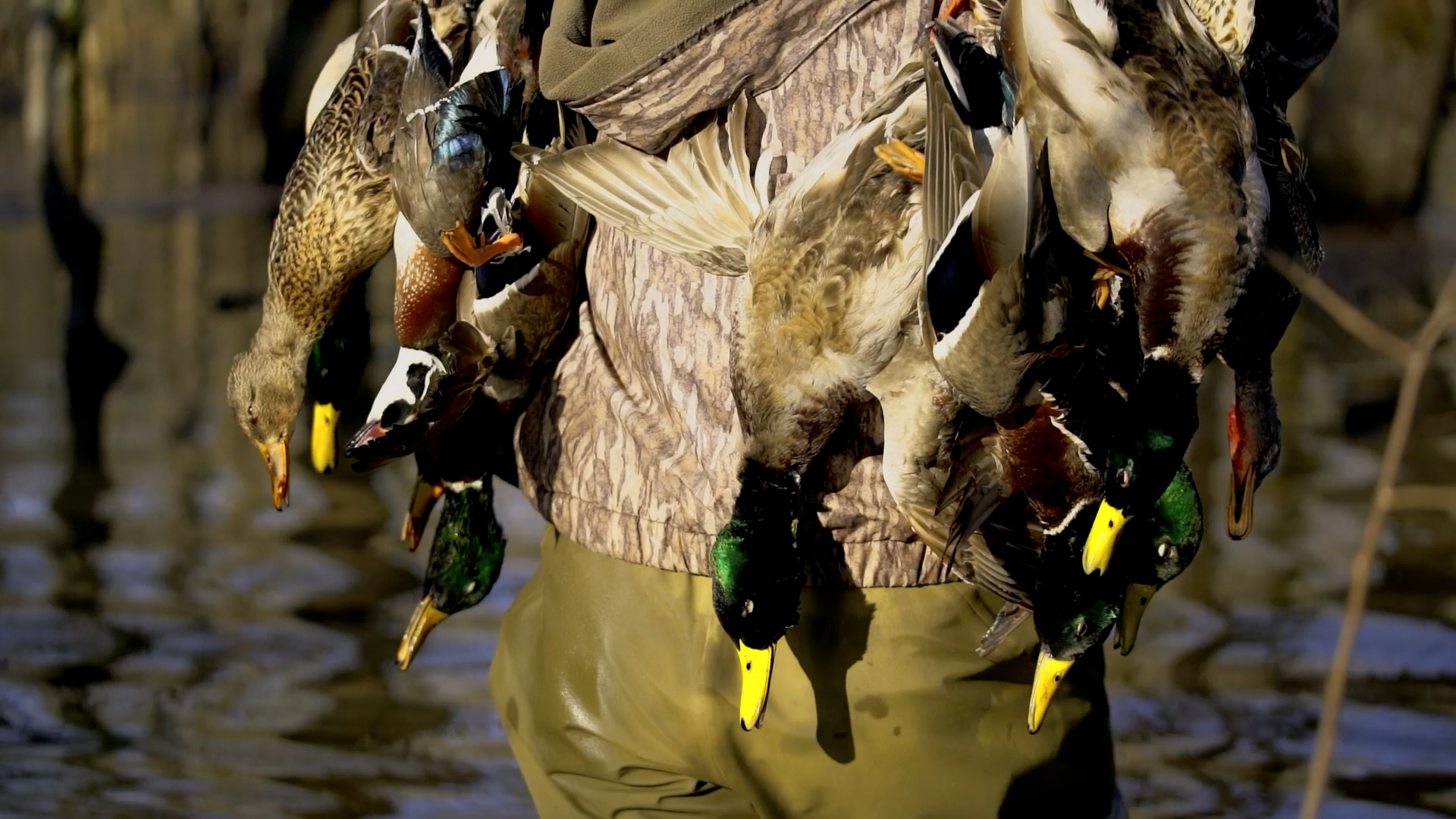 Welcome to Waterfowl Hunting Mecca