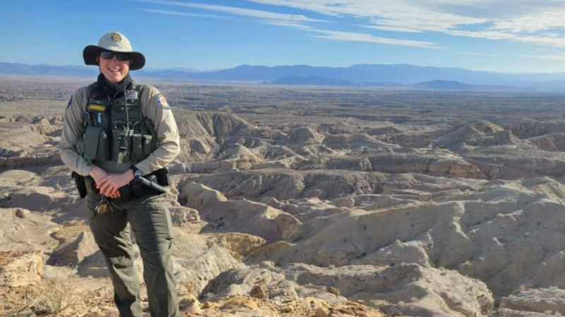What Do Park Rangers Do? Go Behind the Scenes With a Real-Life Ranger