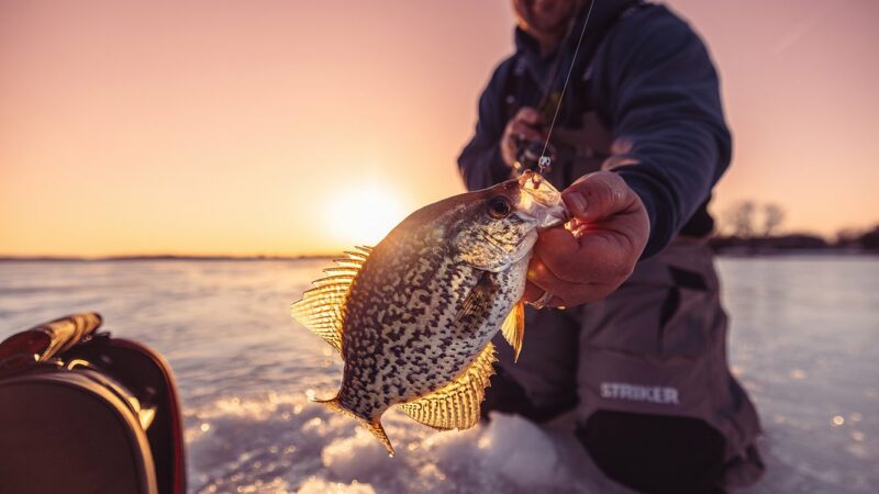 Why it might be best to wait a bit for early-ice panfish – Outdoor News