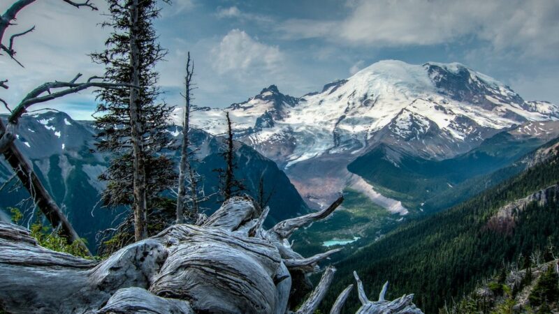 Would You Work for a National Park for Free? Mount Rainier is Asking for Full-Time Volunteers, ‘Starting ASAP’