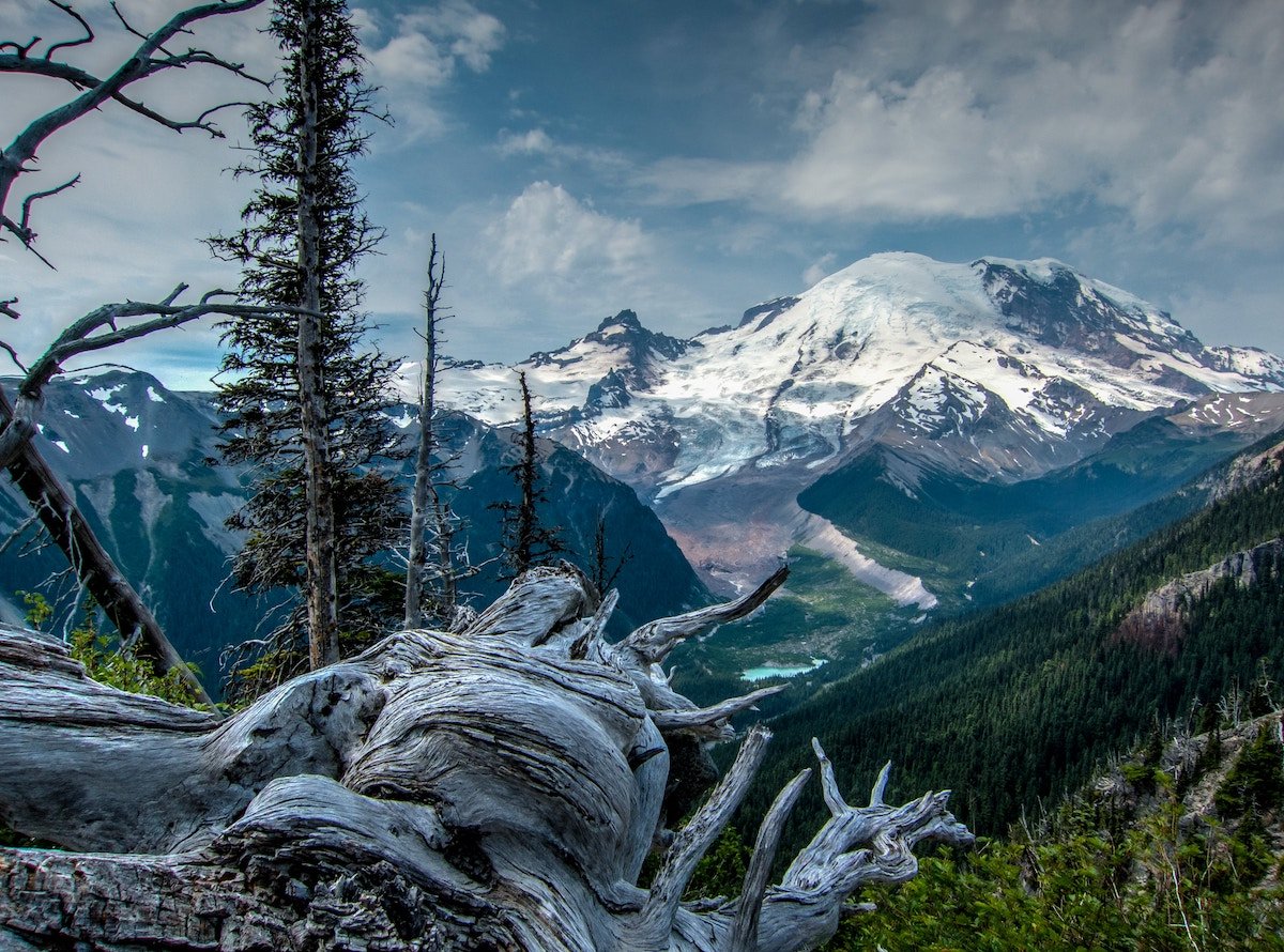 Mount Rainier National Park 2