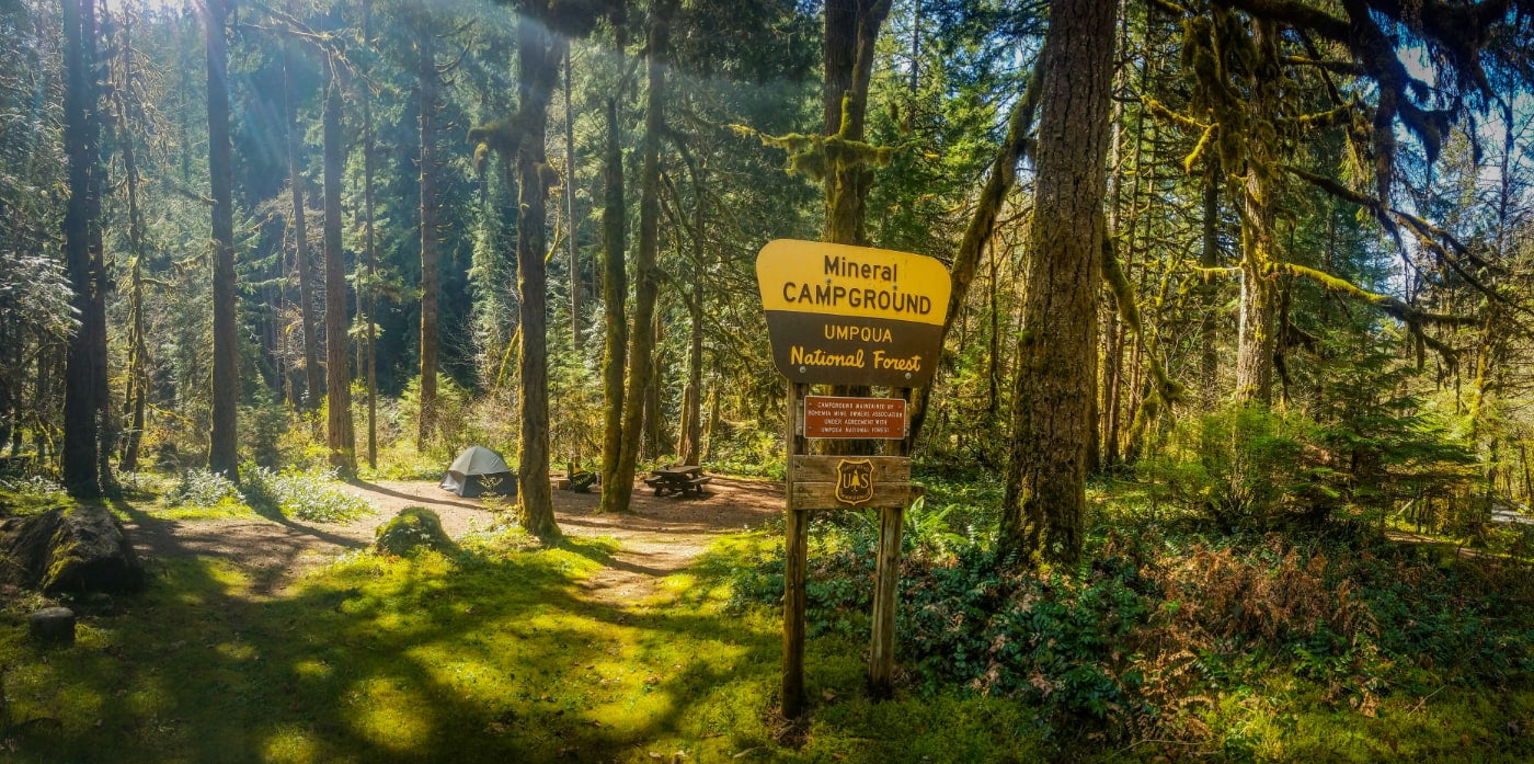 a wooden sign for mineral campground stands in front of a tent site surrounded by green mossy trees 