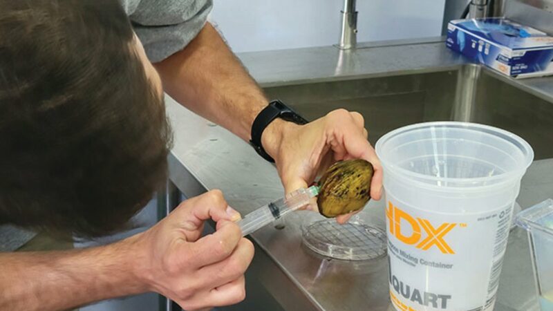 A mobile mussels lab starts in Maryland aimed at restoring populations in the Susquehanna River – Outdoor News