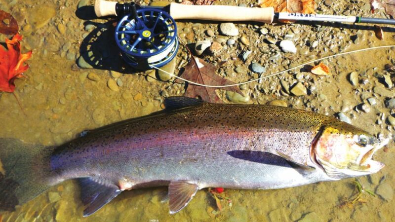 Ben Moyer: Selfless steelhead angler an example all can learn from – Outdoor News