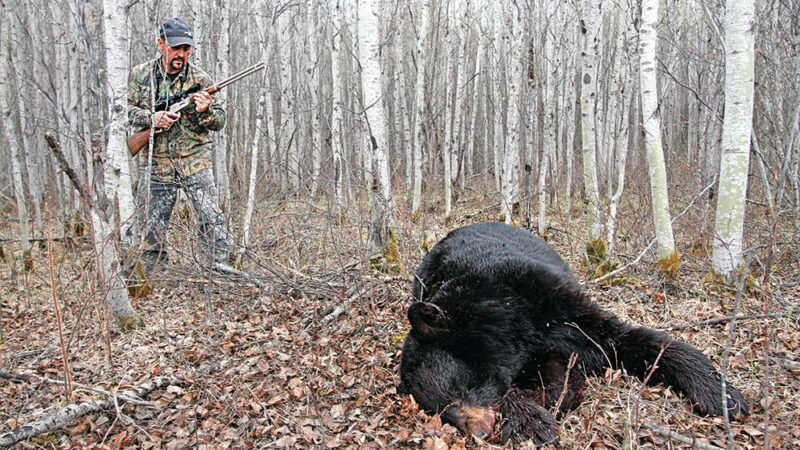 Big loads for big bears: Top black bear hunting cartridges for 2024 – Outdoor News