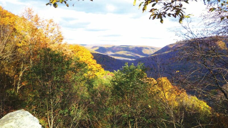 In-lieu-of-tax payments doubled for Pennsylvania public lands – Outdoor News