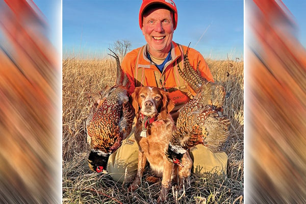 Late season pheasant hunting offers great rewards for those willing to work for it – Outdoor News