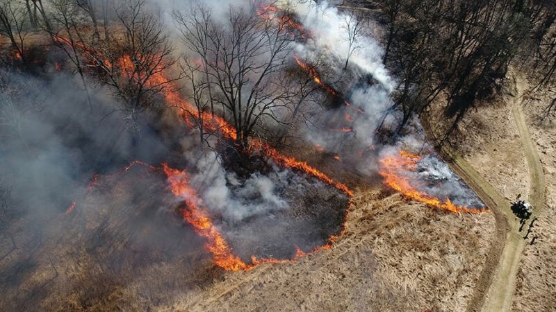 MN Daily Update: Dry conditions increasing risk of wildfires this December – Outdoor News