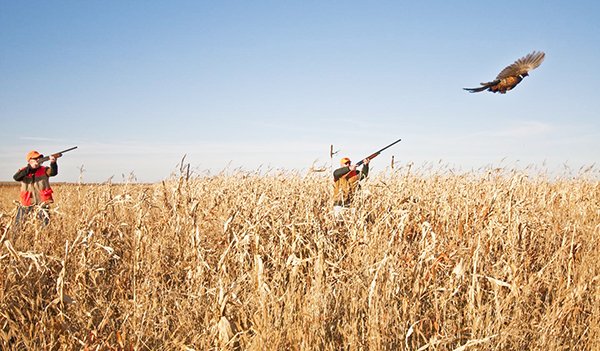 MN Daily Update: Plenty of small-game hunting opportunities remain during this late season – Outdoor News