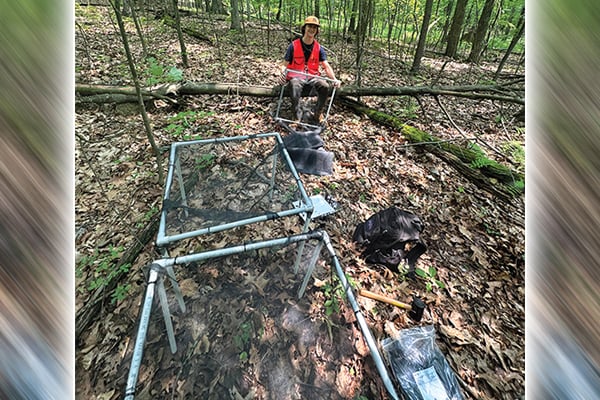 NASA gives Pennsylvania researchers $1 million grant for forest study – Outdoor News