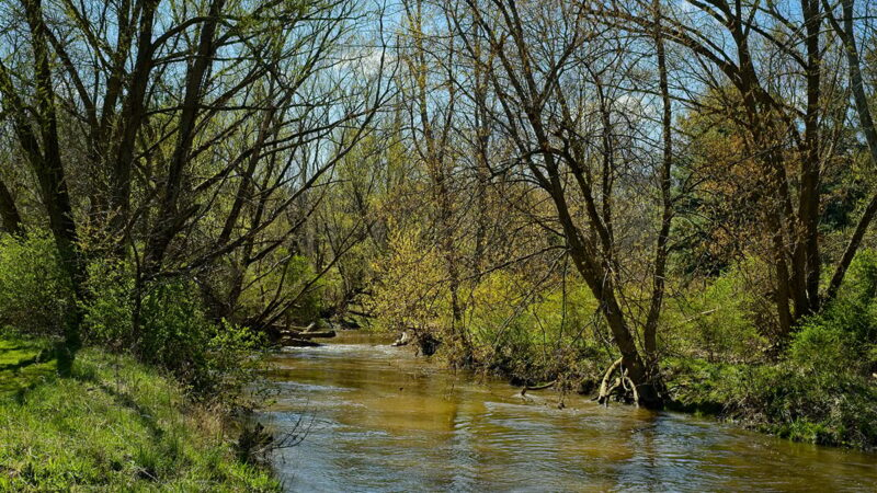 Ohio in line for $110 million from DuPont Co. over chemical contamination – Outdoor News