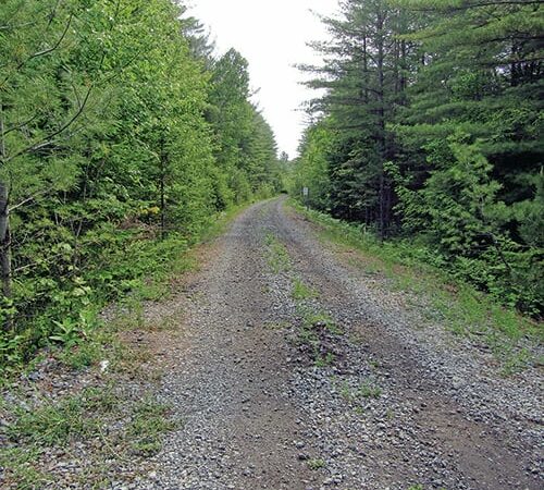 Phase 1 construction of New York’s Adirondack Rail Trail complete with 10 miles now open – Outdoor News