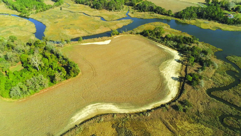 Salt patches spreading on the Chesapeake’s shores as rising seas are hurting farmlands – Outdoor News