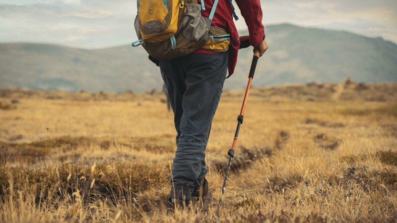 Step-by-Step Guide on How to Use Trekking Poles
