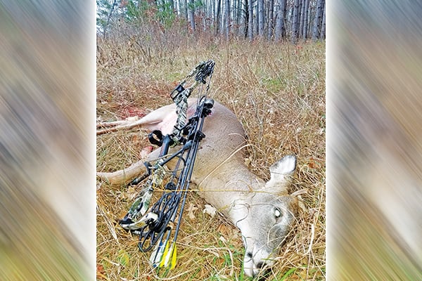 Steve Carney: Looking back on a strange 2023 bowhunting season for whitetails – Outdoor News