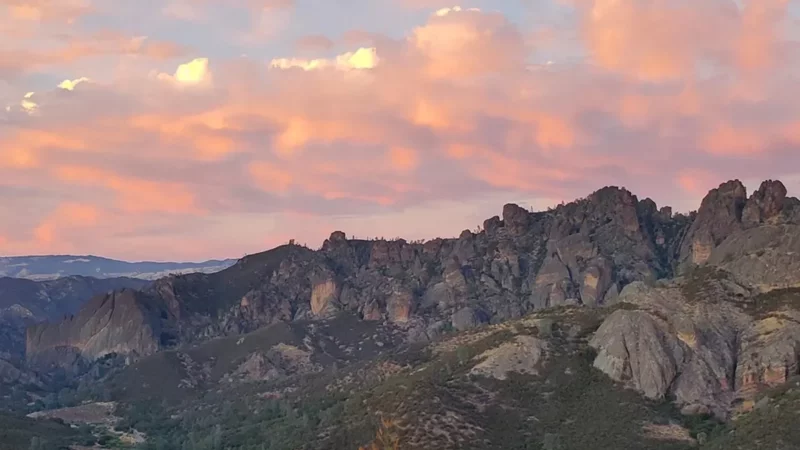 The Complete Guide to Pinnacles National Park