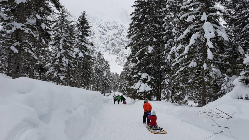 Want to Sled in a National Park this Year? Check Out Our Top Picks
