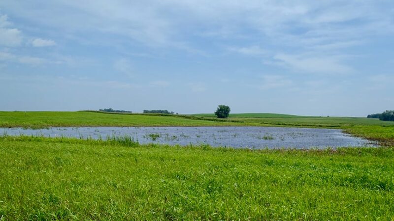 Wetlands offer environmental benefits and can increase bottom line for Iowa landowners – Outdoor News