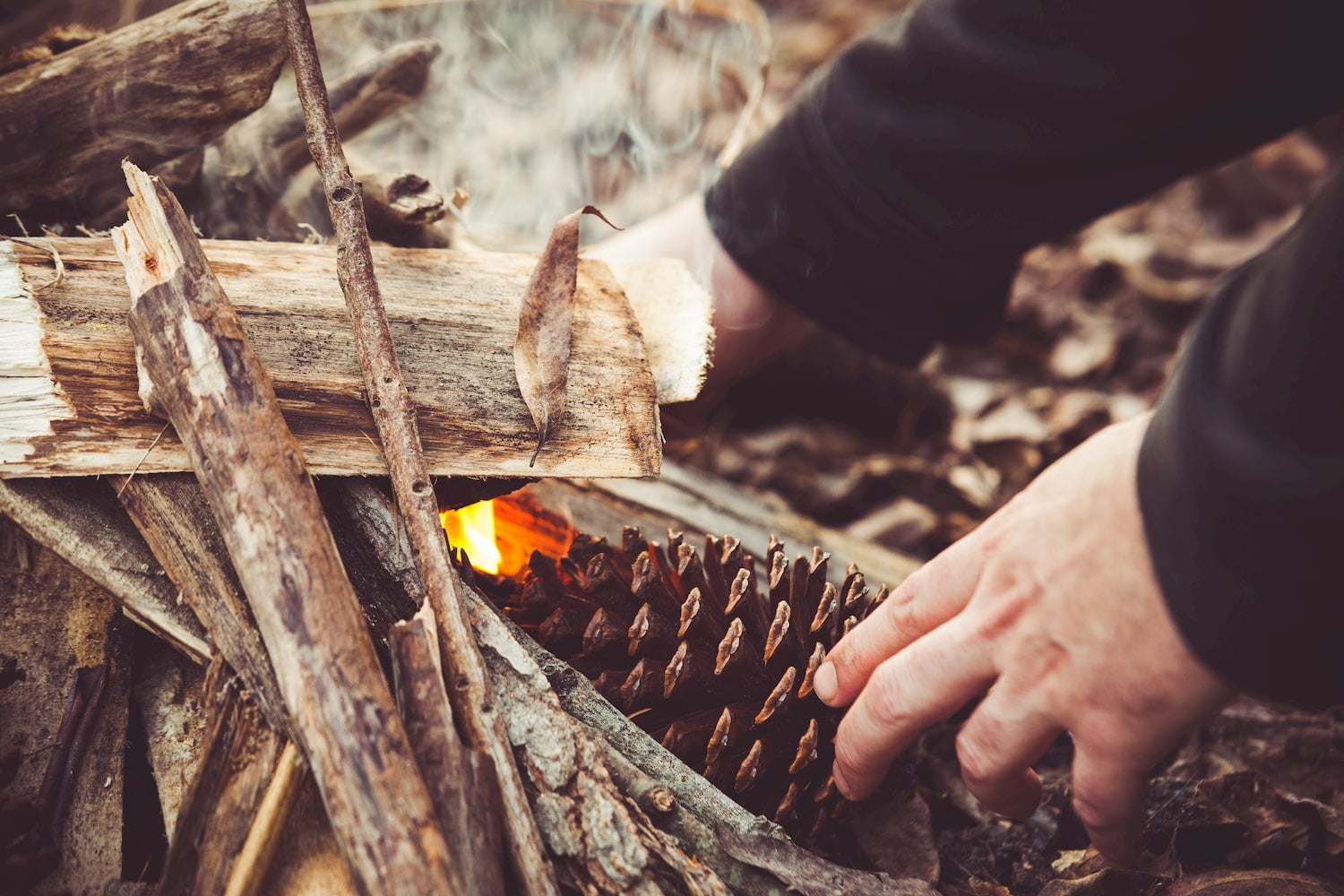hands starting fire with a pinecone