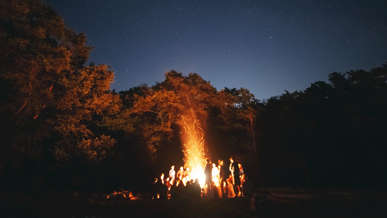 large group surrounding a bonfire in the woods