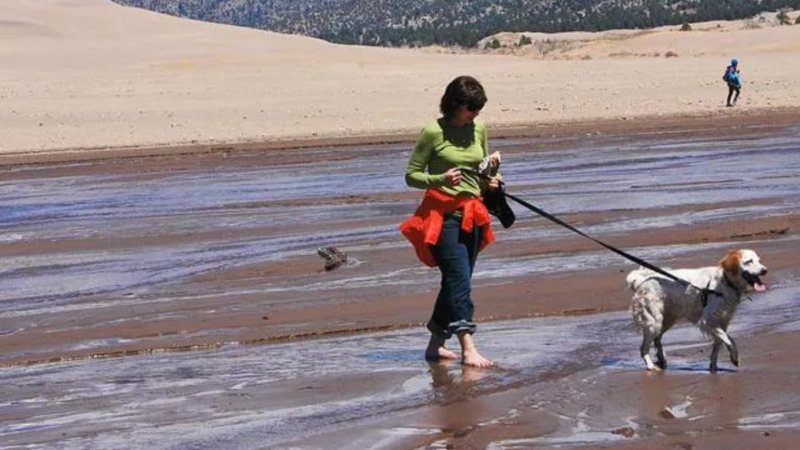 A Beach for Giants: What’s Special About Great Sand Dunes National Park, and Why Dogs Love It
