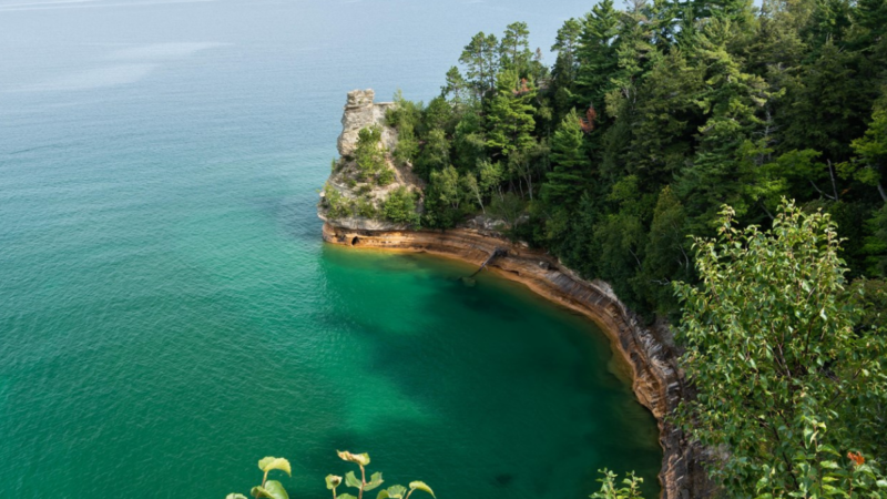  ‘A Professional Troublemaker’: Dog Survives a 60 Foot Fall at Pictured Rocks National Lakeshore