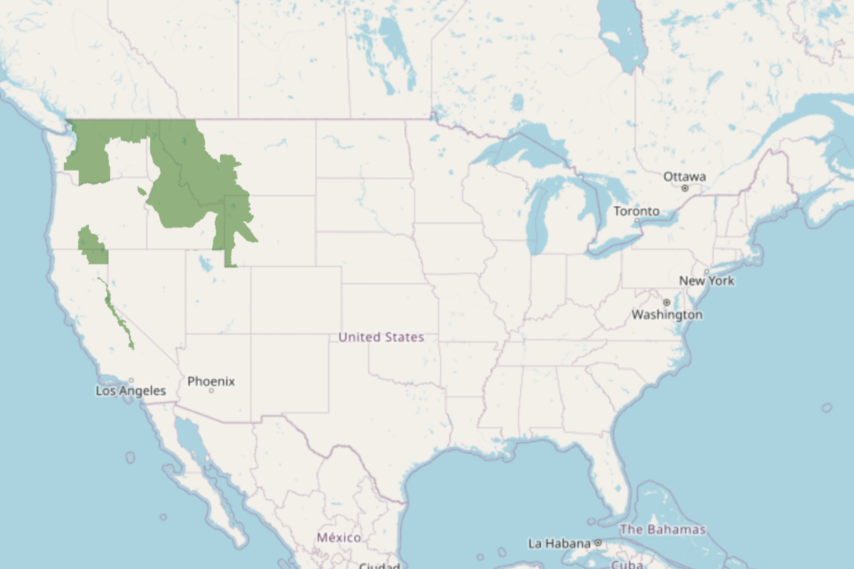 where are wolverines found