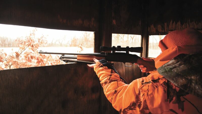 Commentary: It’s time to legalize centerfire rifles for deer hunting in Ohio – Outdoor News