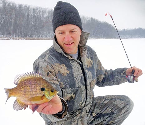 Minnesota’s Pro Fishing Tip of the Week: Panfish have short memories – Outdoor News