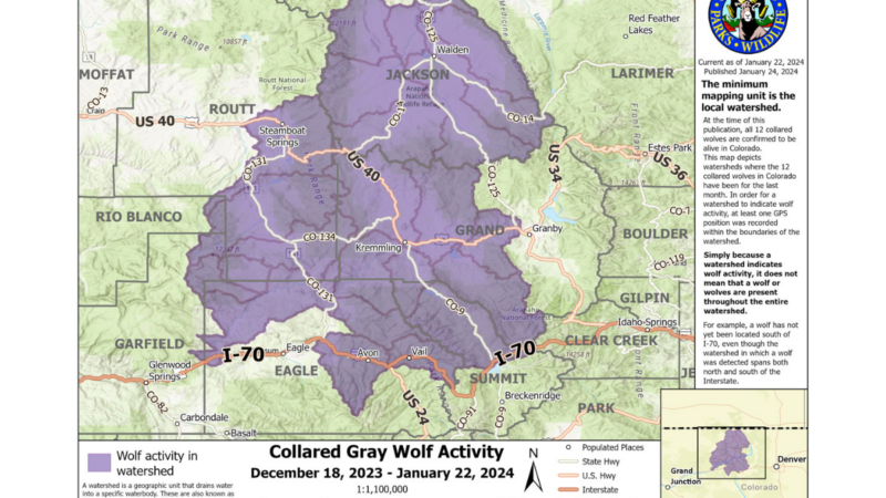 New Map Will Keep Coloradans Informed on the Location of Recently Released Wolves
