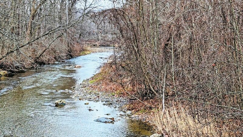 Ohio pollution settlement on East Branch of the Chagrin River 16 years in the making – Outdoor News