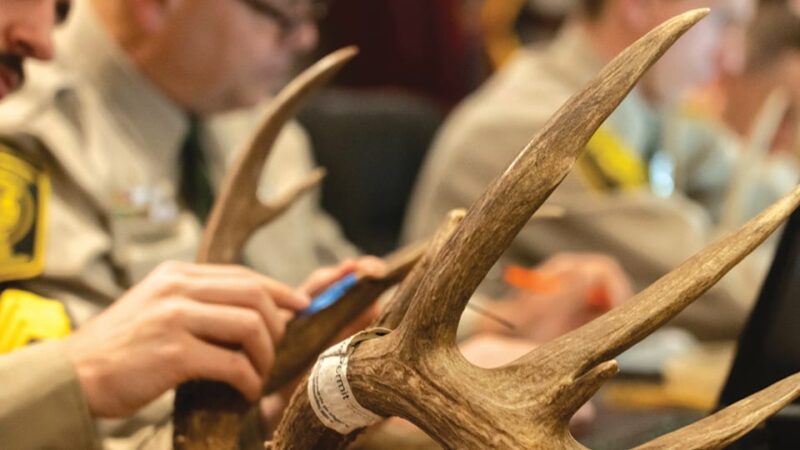 Pennsylvania Game Commission returns big-game scoring session to northeast region – Outdoor News