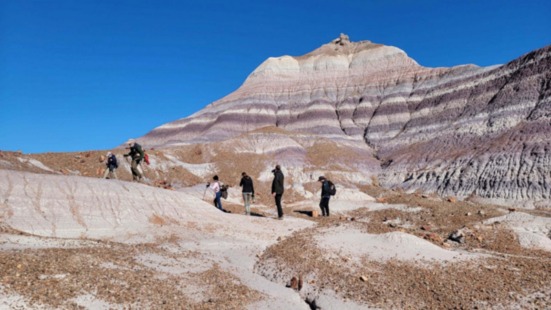Petrified Forest National Park Encourages Visitors to Explore the Park Further From the Trails