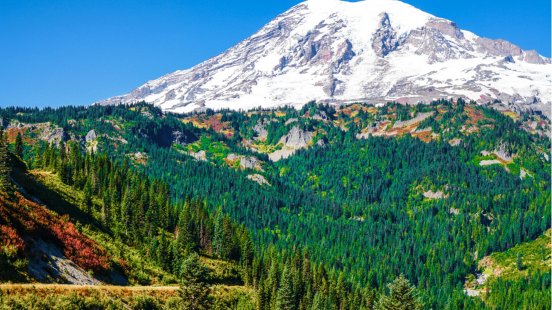 Reservation Required: Mount Rainier is the Latest National Park to Require Entry Permits