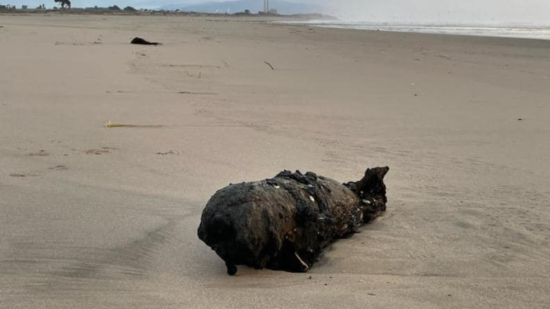Santa Cruz Bomb Squad Called After Powerful California Waves Revealed a Naval Practice Bomb on Beach