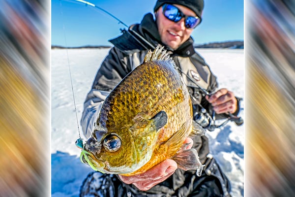 The right timing is key for winter bluegills in northeastern states – Outdoor News