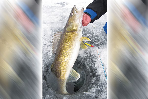 WI Daily Update: What is Gary Roach’s most important piece of equipment for ice fishing? – Outdoor News