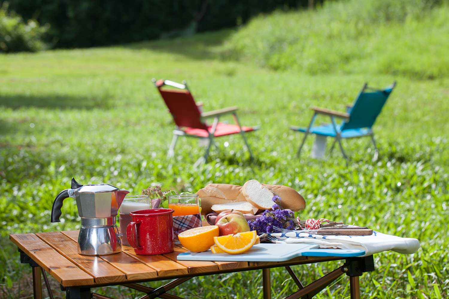 picnic table covered in fruit and flowers next to two folding chairs 