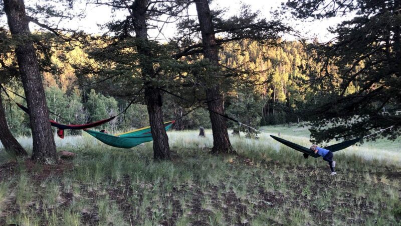 7 Exceptional Campgrounds Near Colorado Springs, Colorado