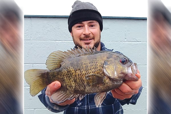 Angler in Maryland catches state record rock bass while fishing for perch – Outdoor News