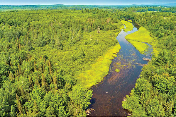 Conservation group calls deal to protect huge northern Wisconsin forest ‘once-in-a-lifetime’ opportunity – Outdoor News
