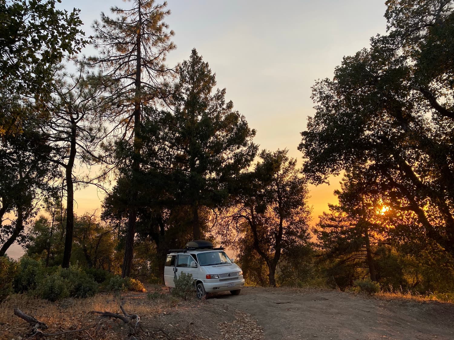 van parked in trees at sunset