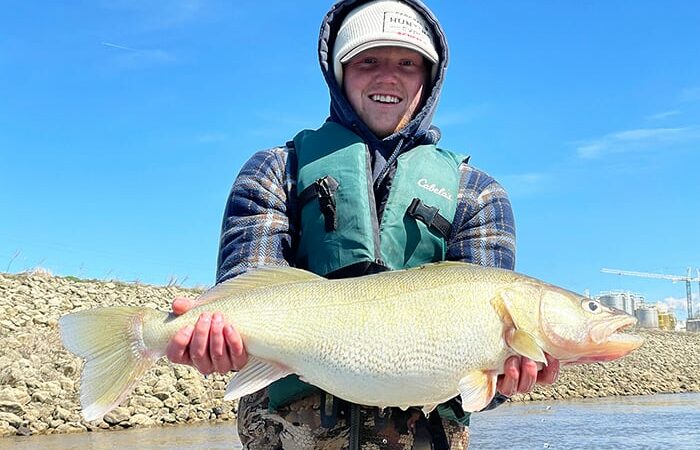Illinois joins Midwest Walleye Challenge where anglers can win prizes, help biologists better understand fisheries – Outdoor News